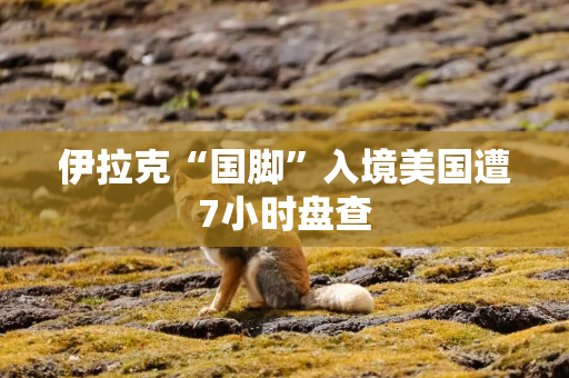 伊拉克“国脚”入境美国遭7小时盘查