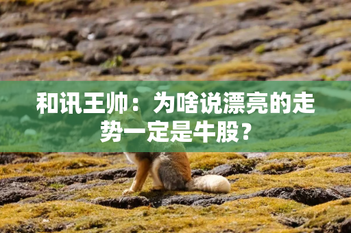 和讯王帅：为啥说漂亮的走势一定是牛股？