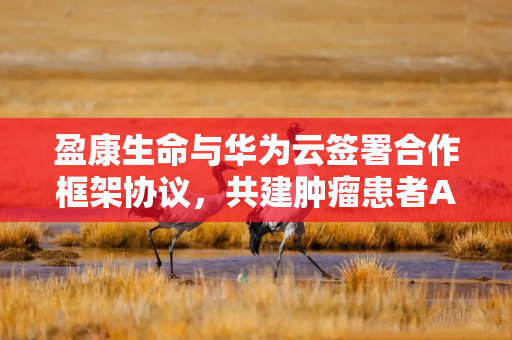 盈康生命与华为云签署合作框架协议，共建肿瘤患者AI全周期管理平台