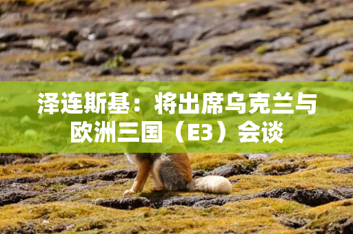 泽连斯基：将出席乌克兰与欧洲三国（E3）会谈