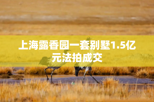 上海露香园一套别墅1.5亿元法拍成交