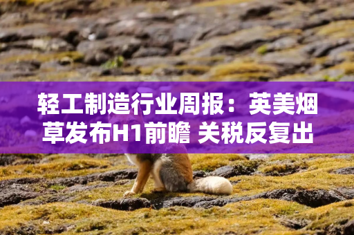 轻工制造行业周报：英美烟草发布H1前瞻 关税反复出口链同比影响预计有限