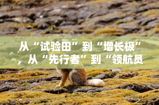 从“试验田”到“增长极”，从“先行者”到“领航员”——天津自贸试验区十周年发展综述