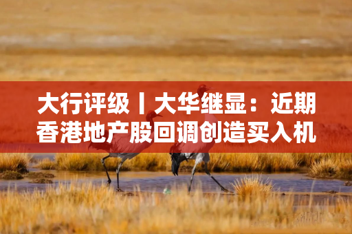 大行评级丨大华继显：近期香港地产股回调创造买入机会，首选新鸿基地产及领展