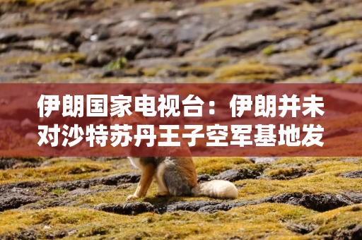 伊朗国家电视台：伊朗并未对沙特苏丹王子空军基地发动袭击