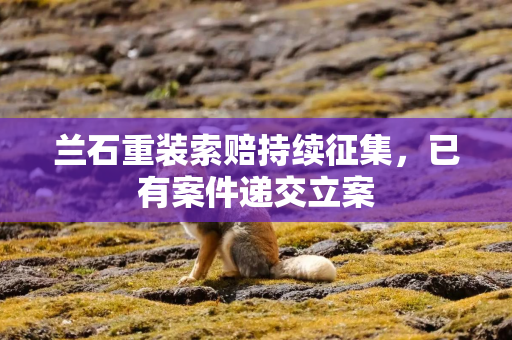 兰石重装索赔持续征集，已有案件递交立案