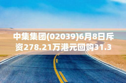 中集集团(02039)6月8日斥资278.21万港元回购31.3万股