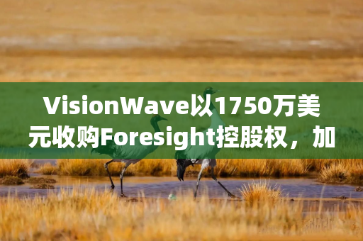 VisionWave以1750万美元收购Foresight控股权，加码国防AI感知技术