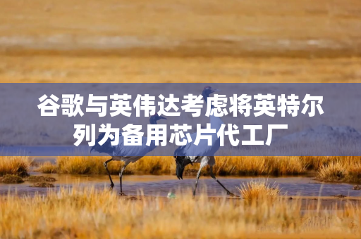 谷歌与英伟达考虑将英特尔列为备用芯片代工厂