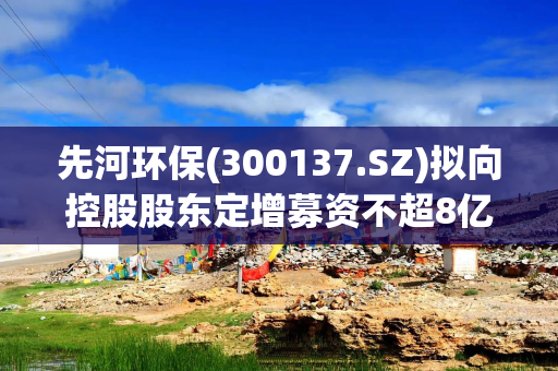 先河环保(300137.SZ)拟向控股股东定增募资不超8亿元 用于补充流动资金