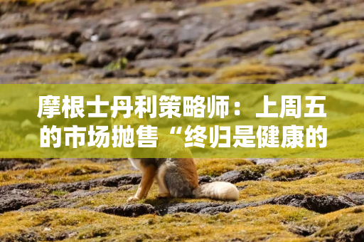 摩根士丹利策略师：上周五的市场抛售“终归是健康的”