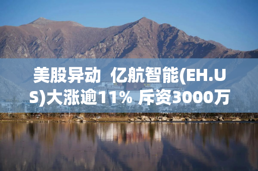 美股异动  亿航智能(EH.US)大涨逾11% 斥资3000万美元回购股票