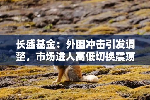 长盛基金：外围冲击引发调整，市场进入高低切换震荡期