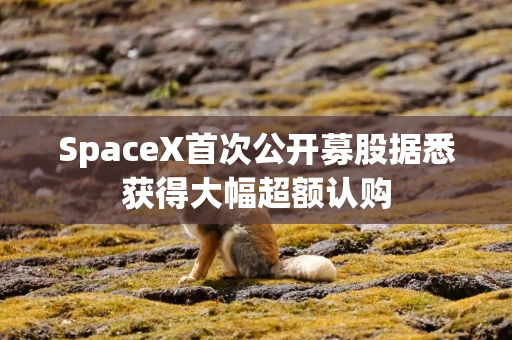 SpaceX首次公开募股据悉获得大幅超额认购