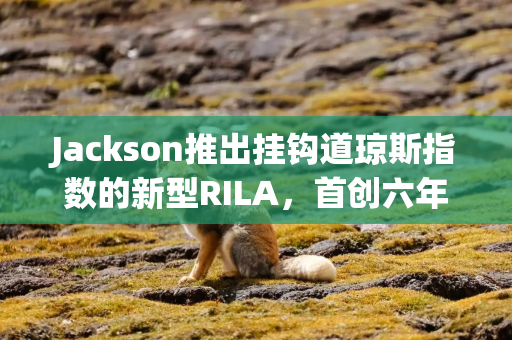 Jackson推出挂钩道琼斯指数的新型RILA，首创六年期费率锁定功能