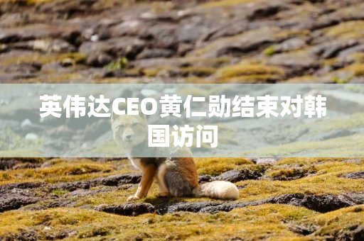 英伟达CEO黄仁勋结束对韩国访问