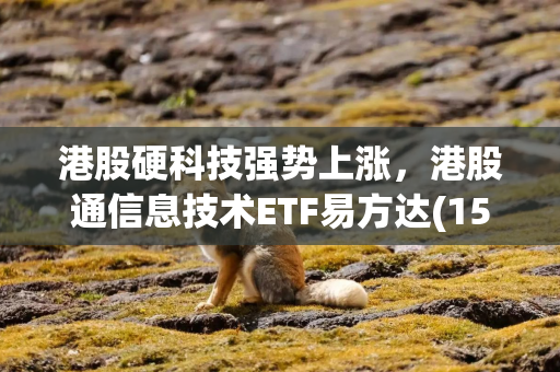 港股硬科技强势上涨，港股通信息技术ETF易方达(159196)涨5.88%，近20日获超1亿元资金净流入