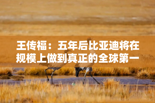 王传福：五年后比亚迪将在规模上做到真正的全球第一