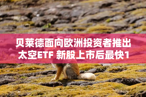 贝莱德面向欧洲投资者推出太空ETF 新股上市后最快10天纳入
