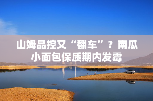 山姆品控又“翻车”？南瓜小面包保质期内发霉