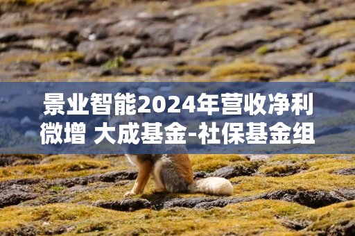 景业智能2024年营收净利微增 大成基金-社保基金组合等退出前十流动股东
