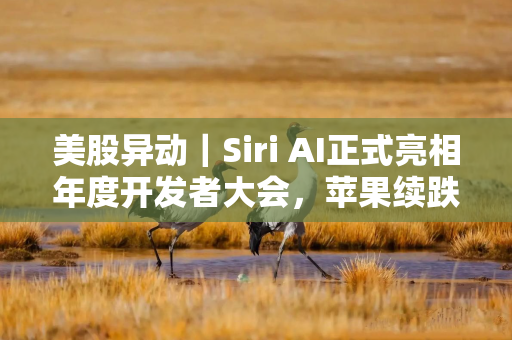 美股异动｜Siri AI正式亮相年度开发者大会，苹果续跌超3%