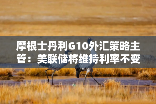 摩根士丹利G10外汇策略主管：美联储将维持利率不变 美元将走弱