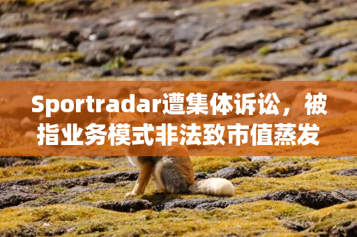 Sportradar遭集体诉讼，被指业务模式非法致市值蒸发8亿美元