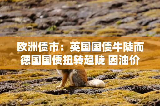欧洲债市：英国国债牛陡而德国国债扭转趋陡 因油价下跌
