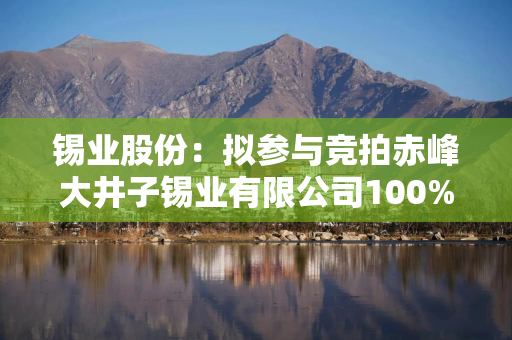 锡业股份：拟参与竞拍赤峰大井子锡业有限公司100%股权