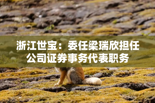 浙江世宝：委任梁瑞欣担任公司证券事务代表职务