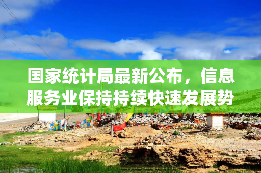 国家统计局最新公布，信息服务业保持持续快速发展势头