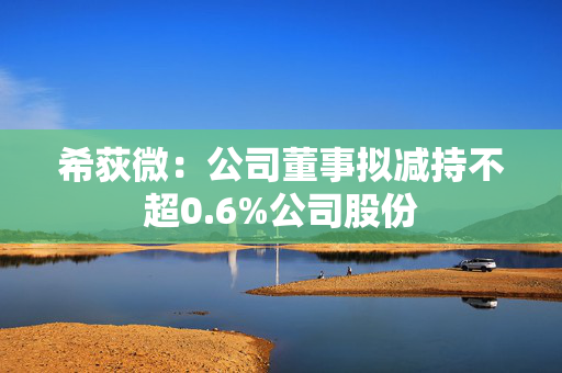 希荻微：公司董事拟减持不超0.6%公司股份