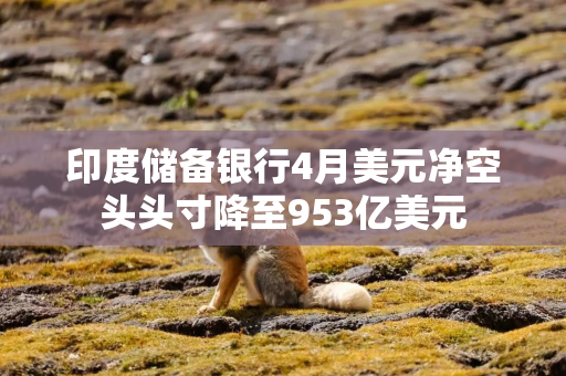 印度储备银行4月美元净空头头寸降至953亿美元