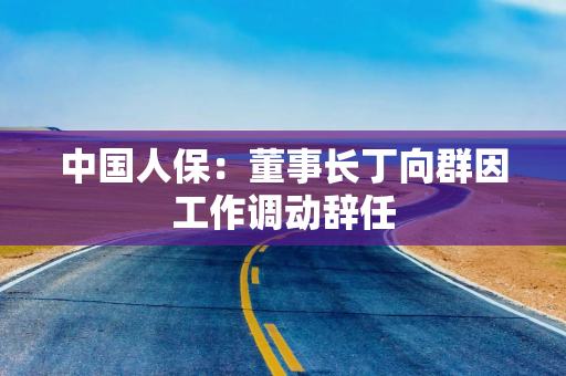 中国人保：董事长丁向群因工作调动辞任