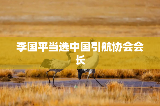 李国平当选中国引航协会会长