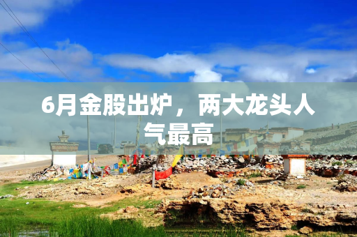 6月金股出炉，两大龙头人气最高