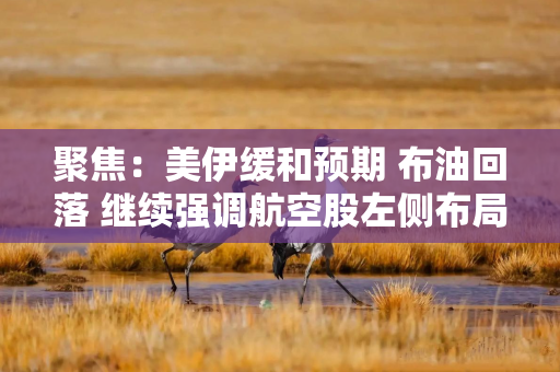 聚焦：美伊缓和预期 布油回落 继续强调航空股左侧布局窗口