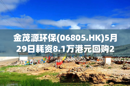 金茂源环保(06805.HK)5月29日耗资8.1万港元回购2.4万股