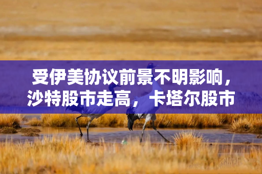 受伊美协议前景不明影响，沙特股市走高，卡塔尔股市下跌