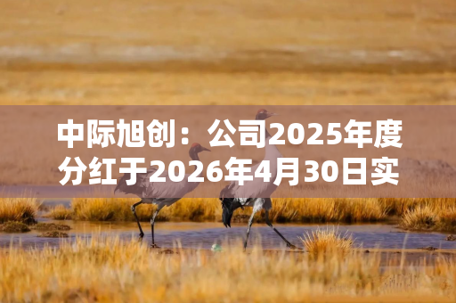 中际旭创：公司2025年度分红于2026年4月30日实施完毕