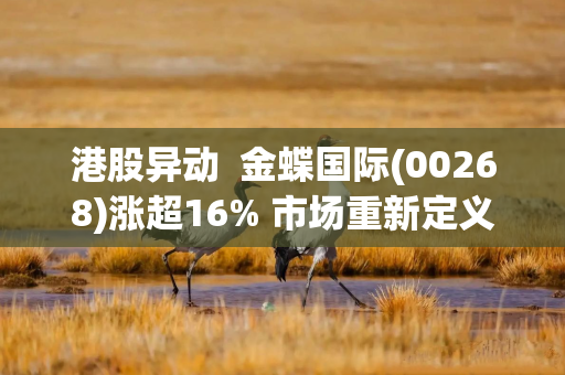 港股异动  金蝶国际(00268)涨超16% 市场重新定义AI赋能软件行业 公司商业化落地加速