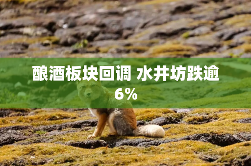 酿酒板块回调 水井坊跌逾6%