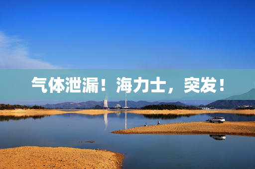 气体泄漏！海力士，突发！