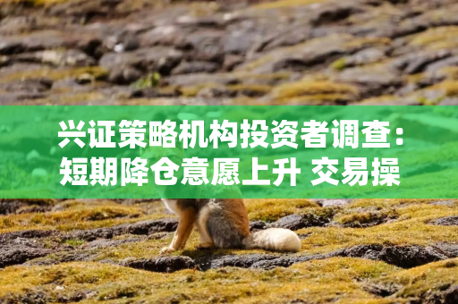 兴证策略机构投资者调查：短期降仓意愿上升 交易操作趋向谨慎 但对中期行情依然保持乐观