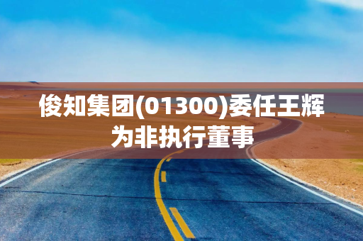 俊知集团(01300)委任王辉为非执行董事