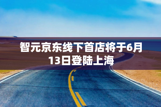 智元京东线下首店将于6月13日登陆上海
