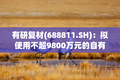 有研复材(688811.SH)：拟使用不超9800万元的自有资金进行委托理财