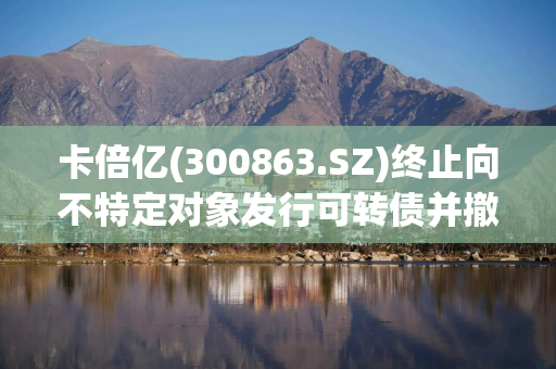 卡倍亿(300863.SZ)终止向不特定对象发行可转债并撤回申请文件