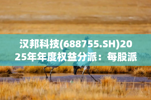 汉邦科技(688755.SH)2025年年度权益分派：每股派利0.12元